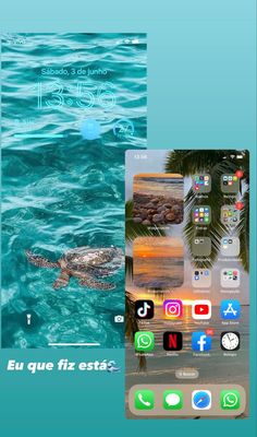 an iphone screen with the image of a sea turtle