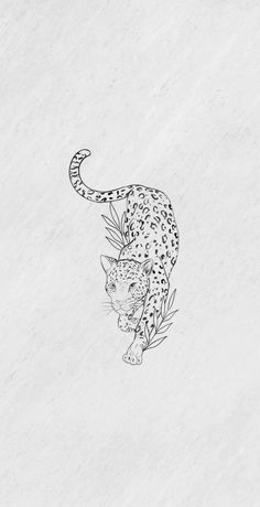 a black and white drawing of a cheetah