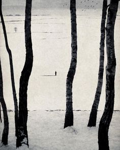 black and white photograph of trees in the snow with birds flying over water behind them