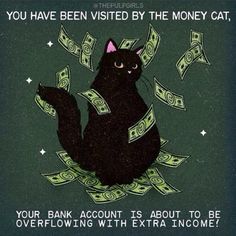 a black cat sitting on top of money with the caption you have been visited by the money cat