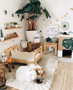 a room filled with lots of furniture and plants on top of rugs in front of a potted plant