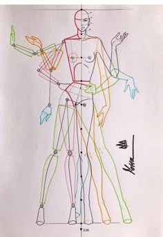 a drawing of a woman's body with different colored lines