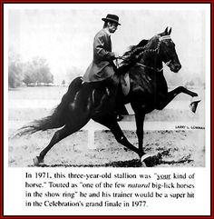 a man riding on the back of a horse next to a red framed sign that says, in 1971, this three - year - old stallion was