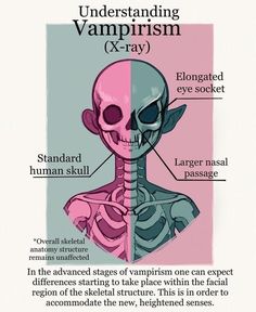 an image of the anatomy of a human skull and its parts labeled in text below