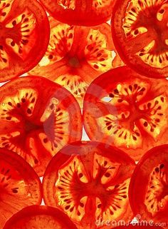 slices of tomato on a white background stock photo - image 399874