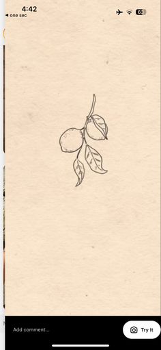 an old paper with a drawing of a plant on it and the words, i love you