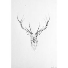 a black and white drawing of a deer's head with antlers on it