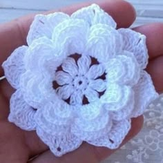 crocheted white flower in the palm of someone's hand