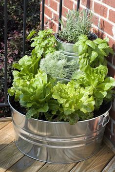 a metal bucket filled with lots of green plants