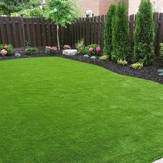 a backyard with green grass and shrubs