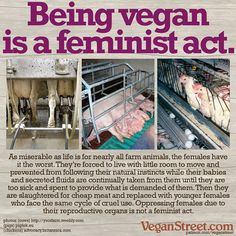 an advertisement for vegan street shows the benefits of being vegan as a feminist act