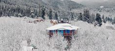 A hut with snow covered roof surrounded by snow covered trees in Mountains Kalga Village, Wake Me Up, Bucket List, Places To Visit, The Day, The Outsiders, Cabin, House Styles