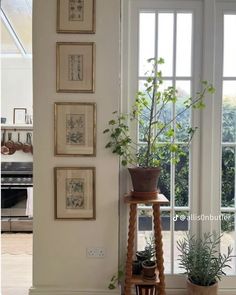 there is a potted plant next to the window in this room with pictures on the wall