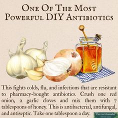 Diy Antibiotics, 1000 Lifehacks, Natural Antibiotic, Herbal Medicine Recipes, Medical Herbs, Backyard Plants