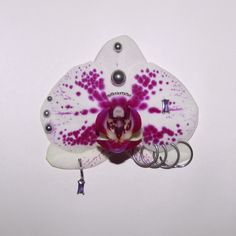 a purple and white flower is hanging from a hook on the wall with rings around it