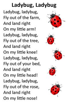 the ladybug poem is written in black and white with four red ladybugs