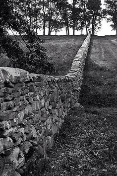 black and white photograph of a stone wall in the middle of a field with trees