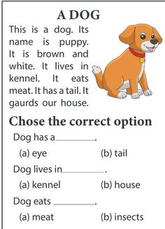 an animal worksheet with the words'adog'in front of it