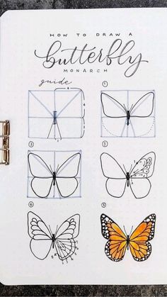 Different Types Of Butterflies Drawing, Butterfly Drawing Steps, Butterfly Sketch Step By Step, Butterfly Drawing Watercolors, Butterfly And Flowers Drawing, How To Draw A Butterfly Step By Step, How To Draw A Sunflower, How To Draw Butterflies, Butterfly Drawing Step By Step