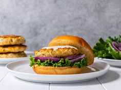 a chicken burger with lettuce and tomato on a plate next to another sandwich