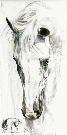 a drawing of a white horse's head