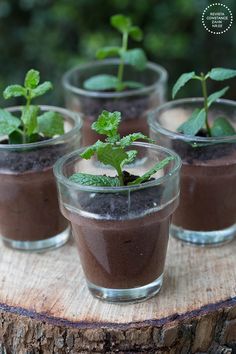 four small cups filled with chocolate pudding and mint sprouts on top of a tree stump