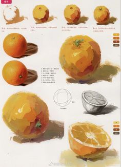 an orange is shown with different stages of its ripeness, and how to draw it