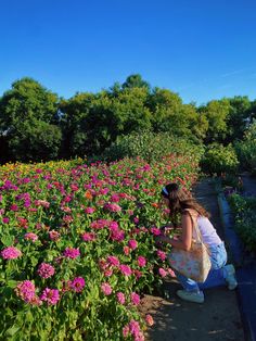 a woman kneeling down next to a field full of pink and yellow flowers with trees in the background