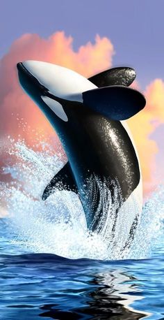 an orca jumping out of the water in front of a colorful sky and clouds