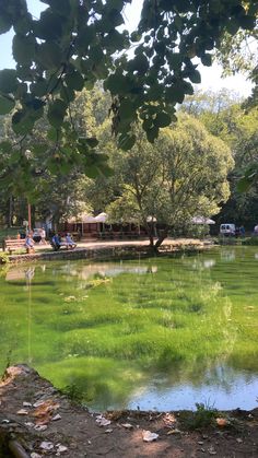 the pond is full of green algae and people are sitting on benches in the background