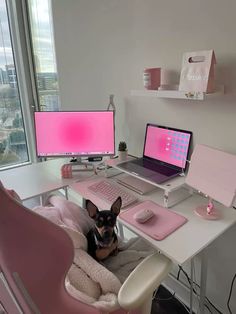 a small dog sitting in a pink chair at a desk