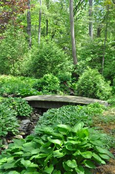 a stone bench sitting in the middle of a lush green forest