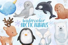 the watercolor arctic animals are all different colors