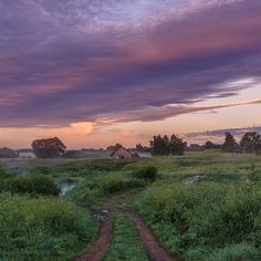 a dirt road going through a lush green field under a purple sky with clouds in the distance