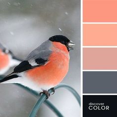 a bird sitting on top of a metal pole next to a red and gray color scheme