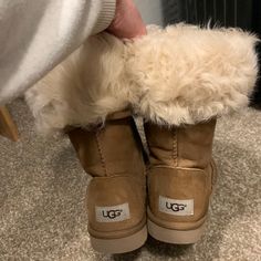 New Without Box. These Were Limited Edition. They Have The Long Sheep Fur. Size 6. Price Is Firm. No Stains. 2025 Predictions, Chestnut Ugg Boots, Ugg Shoes Women, Brown Uggs, Womens Uggs, Winter Rain, Shoes Women, Ugg Shoes, Ugg Boots