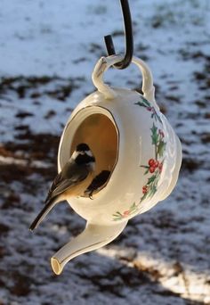 a bird is sitting in a hanging teapot