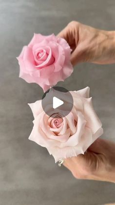 two pink roses being held by someone's hands with the video title below them