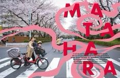 two people riding bikes across a crosswalk in the middle of a street with cherry blossom trees