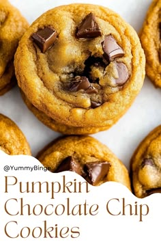 pumpkin chocolate chip cookies are stacked on top of each other with the words, pumpkin chocolate chip cookies