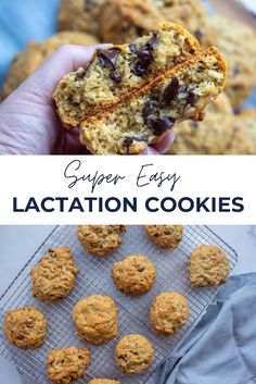 Join me for an easy lactation cookie recipe today. I am making lactation cookies without brewers yeast, which means these ingredients are all easy to find and don’t have a weird aftertaste. Come see how I make them! #lactationcookies #easylactationcookies #lactationcookiesnobrewersyeast Lactation Cookies Without Brewers Yeast, Easy Lactation Cookies, Lactation Recipes, Lactation Cookies, Brewers Yeast