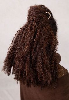 Afro Hair Long, Hairstyle For Natural Hair, Natural Hair Highlights, Big Natural Hair, Half Up Half Down Hairstyle, Down Hairstyle, Rose Inc, Lilla Rose, Fall Makeup Looks