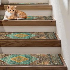 an orange and white cat sitting on top of some stairs with rugs underneath it