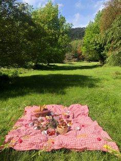 a picnic blanket with food on it in the middle of a grassy area surrounded by trees