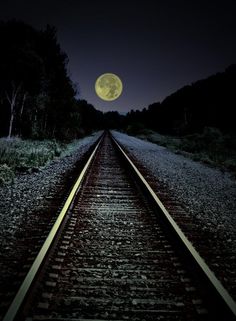 a train track at night with the moon in the sky and trees on either side