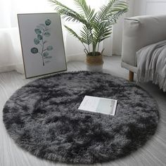 a living room with a large round rug on the floor and a plant in front of it