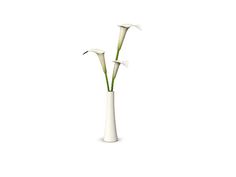 three white flowers in a tall vase on a white background with room for your text