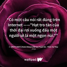 Tôi đang đọc [BHTT] [EDIT] [Hoàn] Nàng Là Đệ Tam Tuyệt Sắc - Thiên Tại Thủy trên #Wattpad #tiểuthuyếtchung. Yuuri Katsuki, Jess Mariano, Never Forget You, Game Pictures, Teenage Dream, Pride And Prejudice, Hunger Games, Picture Quotes