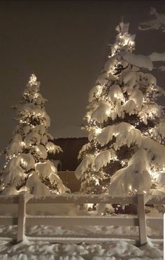 snow covered trees and benches in front of a building at night with lights on them