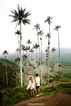 two people standing in front of palm trees on top of a hill with the sky above them